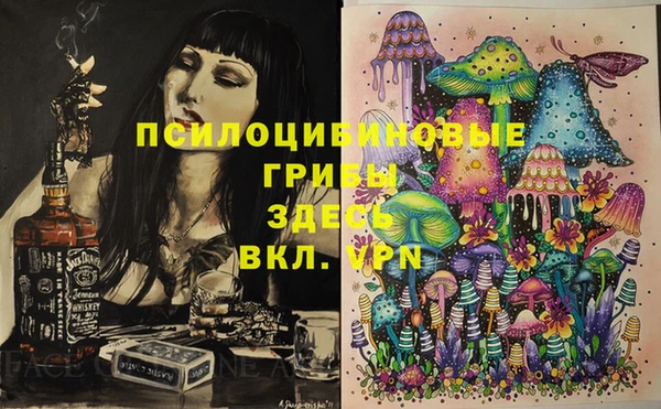 гидра Бикин