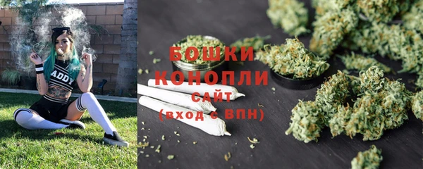 соль ск Кодинск