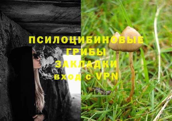 герыч Козельск