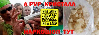 стаф Кингисепп