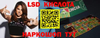 стаф Кингисепп