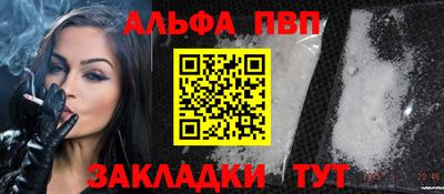 стаф Кингисепп