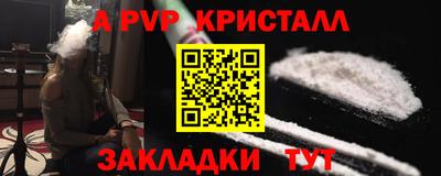 стаф Кингисепп