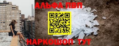 стаф Кингисепп