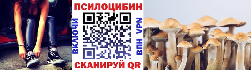 Галлюциногенные грибы Cubensis  как найти закладки  Мариинск 